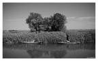 Fiume Stella Fiume Stella
