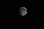 Luna MTO 2 Luna MTO 2