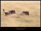 In corsa per la vita In corsa per la vita
