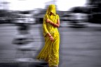 India meravigliosa India meravigliosa