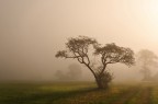 L'alba L'alba
