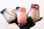 Fiori Finti Fiori Finti