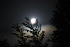DANCING IN THE MOON DANCING IN THE MOON