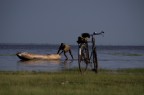 Lake Manyara, Tanzania

Pentax Kx + Tamron AF 18-200
f/6,3
1/2000
ISO 200