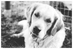 Chloe b/w Chloe b/w