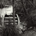 pedante ricerca tonale