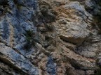 un volto nella roccia un volto nella roccia