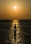 Sunshine01 Sunshine01