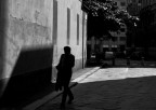 Shadows Shadows