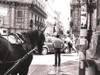 Palermo Palermo