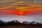 Nebbia al tramonto Nebbia al tramonto