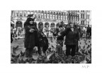 occhio ai piccioni occhio ai piccioni