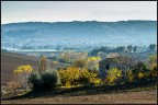 Campagna marchigiana Campagna marchigiana