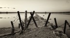 "the way"..........
