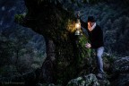 Alla ricerca del bosco perduto Alla ricerca del bosco perduto