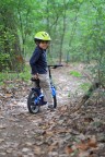 Nel bosco Nel bosco