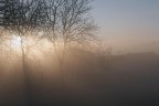 La nebbia.... insolita La nebbia.... insolita