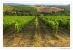 Toscana Toscana