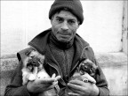 Amico Rom e...amici cuccioli (+5) Amico Rom e...amici cuccioli (+5)