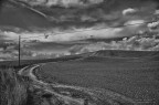 Strade di collina Strade di collina