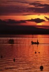 Un pomeriggio di ottobre, sul lago Trasimeno. ottobre 2001 (Pentax 300 F4,5; velvia50; cavalletto)