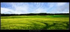 Scotland Scotland