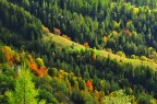 autunno autunno