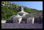Abbaye de Senanque Abbaye de Senanque