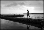 ..natura in bianco e nero ..natura in bianco e nero