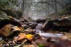 Autunno Autunno