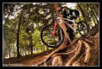 MTB|BackToTheRoots
