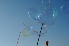 ....le mille bolle blu ....le mille bolle blu