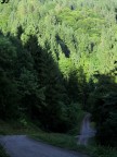 La strada verso il bosco La strada verso il bosco