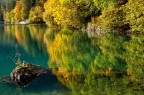 Riflessi autunnali Riflessi autunnali