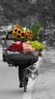 colori on the road colori on the road