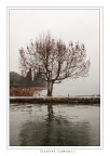 IMG_2003 IMG_2003