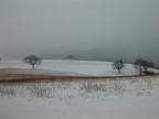 Collina innevata Collina innevata