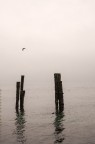IMG_2000