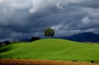 Mugello Mugello