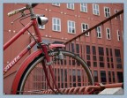 bici all'universitā bici all'universitā