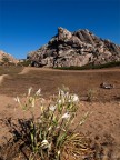 Uno scatto fatto alla famosa Valle della Luna presso Capo Testa (Santa Teresa di Gallura)

Il luogo, oltre che per la sua bellezza paesaggistica, � noto per ospitare una comunit� hippy nel periodo estivo.

Fotografia scattata con Olympus e-520 + Zuiko 11-22

Pareri, commenti e critiche sempre ben accetti

Grazie
Andrea