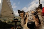 sniff sniff sniff sniff