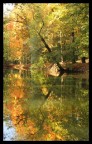 Colori d'autunno Colori d'autunno