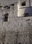 Bianco di Puglia Bianco di Puglia