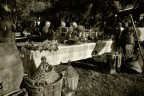 autunno autunno