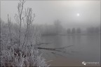 Fog pond Fog pond