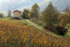 colori d'autunno 2 colori d'autunno 2