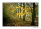 November November
