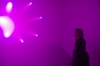 Purple Purple