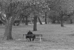 Solitudine Solitudine